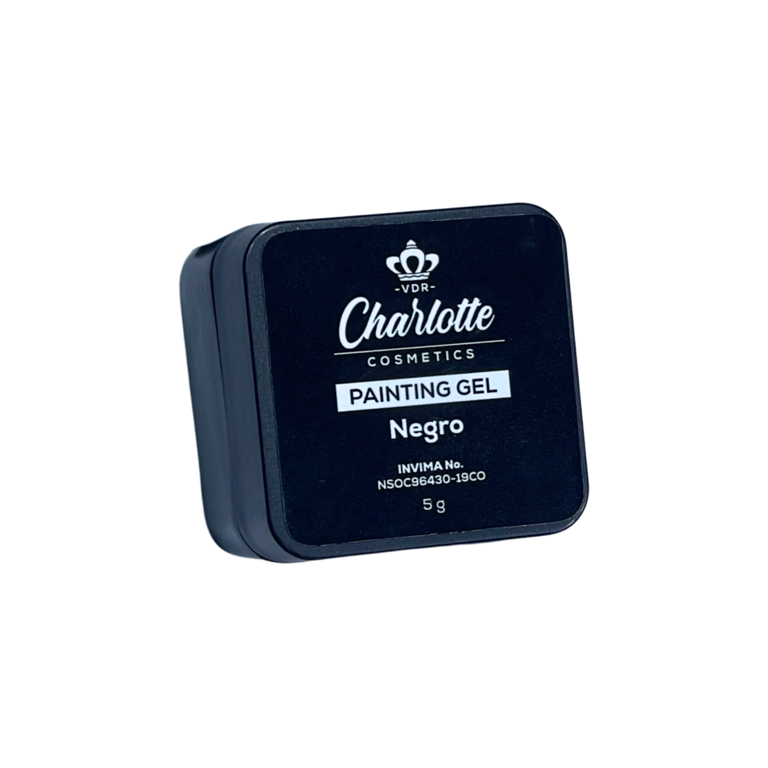 Painting Gel 5g - Negro